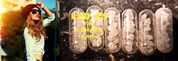 PSILOCYBIN Усинск