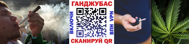 Купить где  Сегежа  Бошки Шишки планчик 